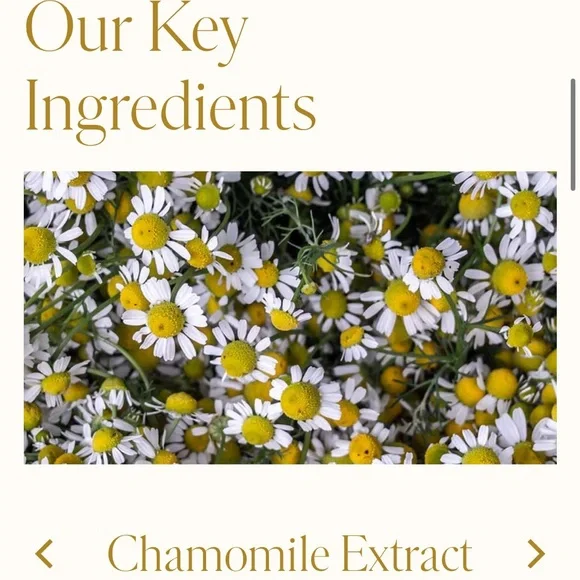 WEN  Summer Honey Peach Cleansing Conditioner 16oz New Read description - Picture 8 of 12